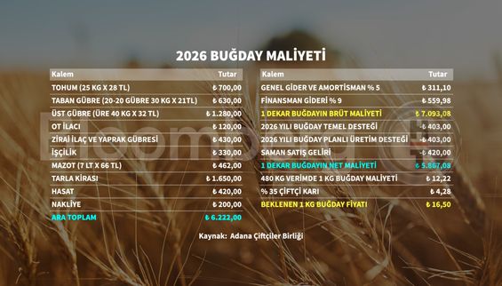 Çiftçi 2026 buğday maliyetini hesapladı, fiyat beklentisini açıkladı