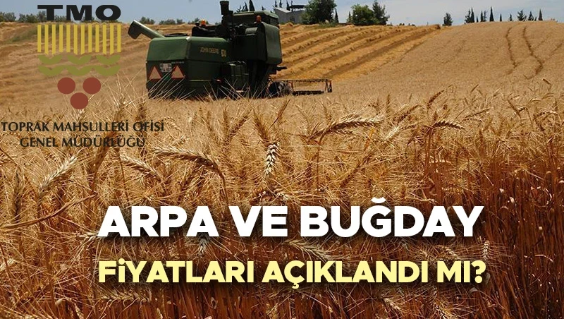 BUĞDAY FİYATLARI 2026 NE ZAMAN AÇIKLANACAK?
