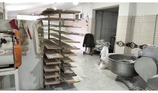 SAHİBİNDEN SATILIK KARAFIRIN VE 1 DAİRE İLE İKİ KAT 500 metre²ARSASYLA